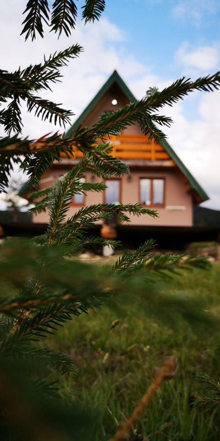 Vila Planinska Kuca Žabljak Exteriér fotografie