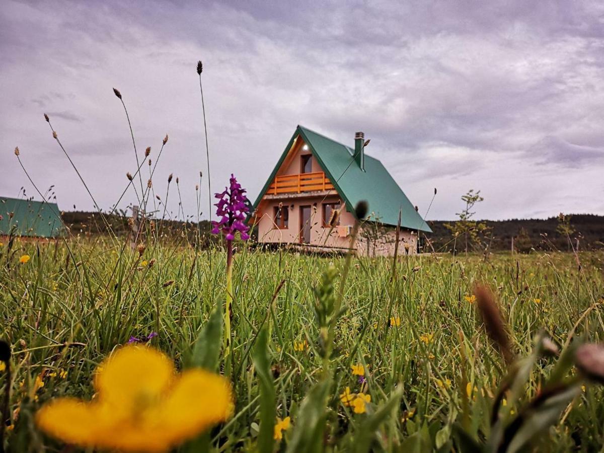 Vila Planinska Kuca Žabljak Exteriér fotografie